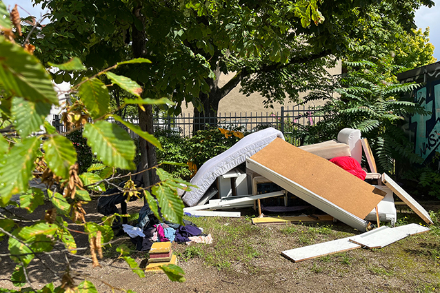 Online-Umfrage zur Sauberkeit und Ordnung in Berlin
