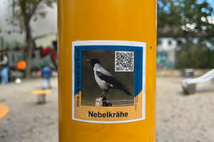 Tierstimmen auf dem Spielplatz