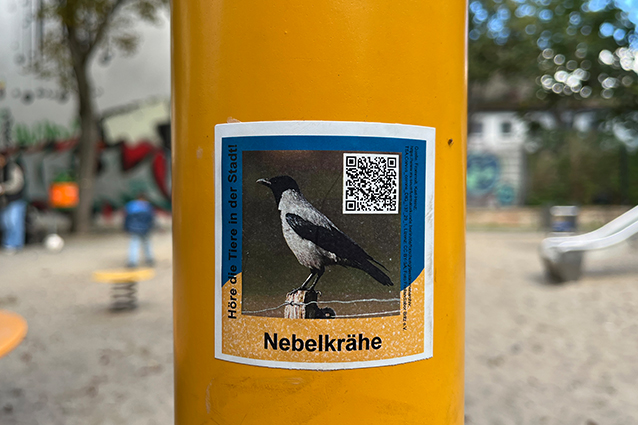 Tierstimmen auf dem Spielplatz