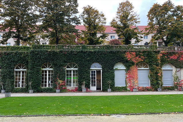 Ausstellung „Close Up – Goldrausch 2025“ in der Galerie im Körnerpark