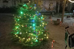 Stimmungsvoller Kiez-Weihnachtsmarkt