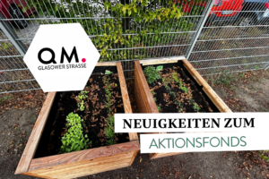 Säen, gießen, ernten – Kinder erleben Natur hautnah
